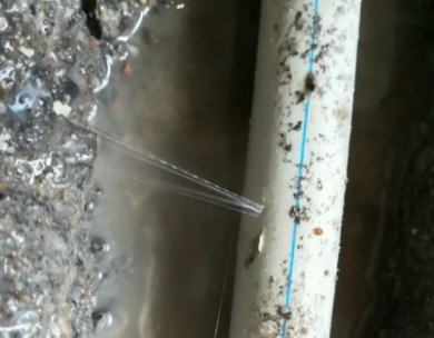 海林测漏水哪家好